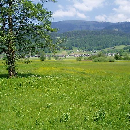 Gasthof Taube บิตเซา ภายนอก รูปภาพ